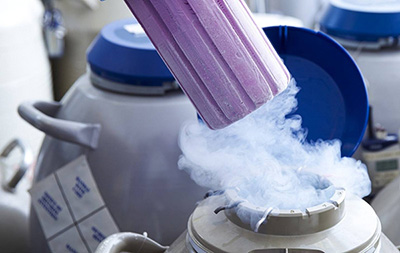 泰国试管不成功率多少,泰国试管亲身经历失败